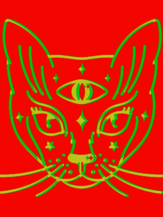 A cat with a third eye in a psychedelic theme, symbolizing the band Third Eye Blind