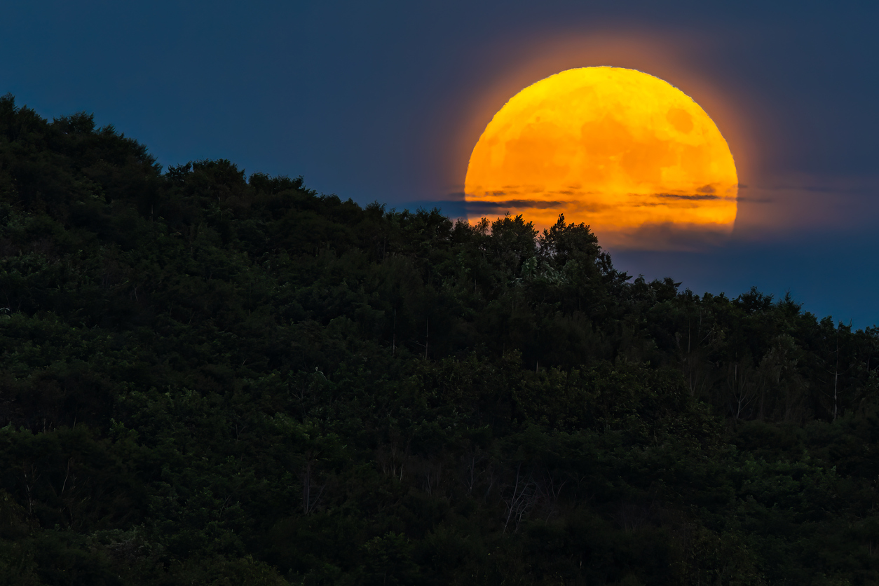 Moonrise behind a forest and thin clouds, representing Bad Moon Rising